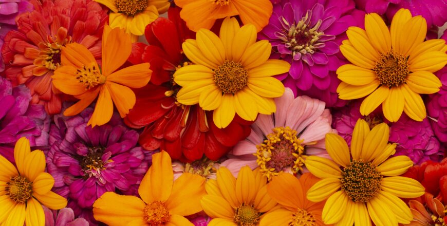 gorgeous-arrangement-flowers-wallpaper